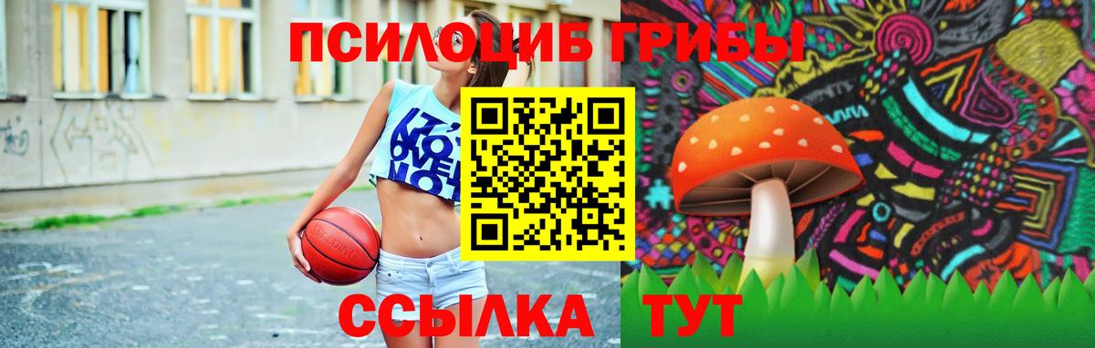 Камышин  цена наркотик  Вход с VPN  Псилоцибиновые грибы Cubensis  Псилоцибиновые грибы мицелий 